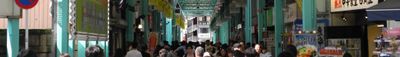 Panoramic View 4