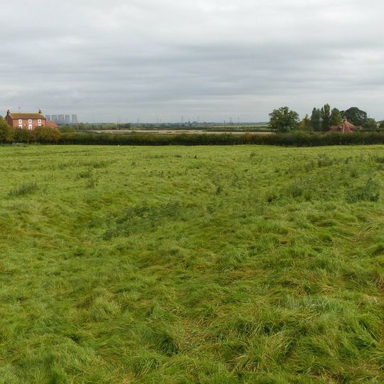 Whimpton Moor medieval village and moated site