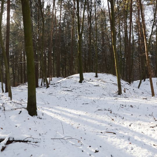 Barrow cemetery Ungerdorfer Wald
