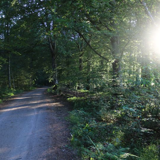 Naturreservatet Kronoberg