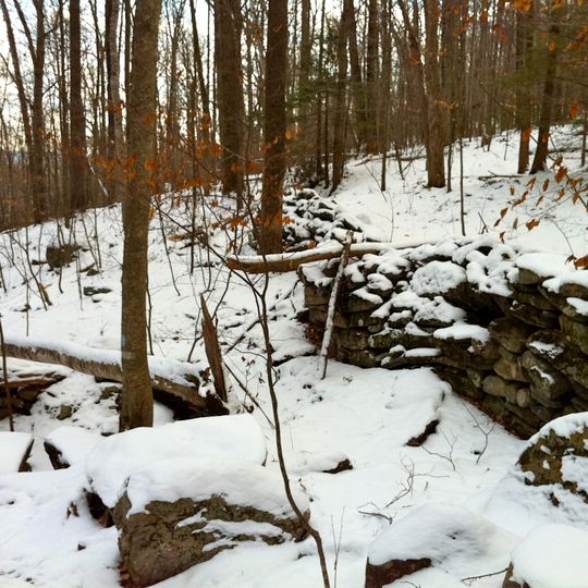 American Legion State Forest Trails