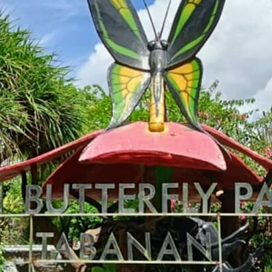 Bali Butterfly Park