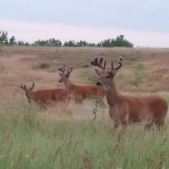 Cherry Creek State Park