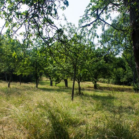 Hintere Dick-Eisenbolz