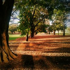 Musgrave Park, Brisbane