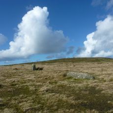 Waun Mawn Standing Stone