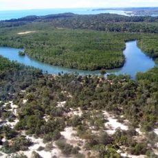Madagascar dry deciduous forests