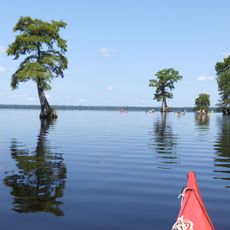 Lake Drummond