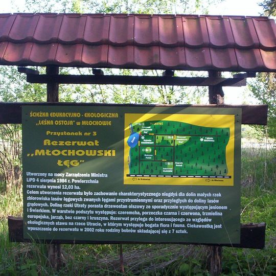 Rezerwat przyrody Młochowski Łęg