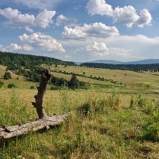 Zhůřská hnízdiště