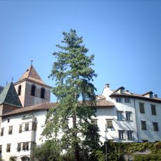 Library of Muri-Gries Abbey