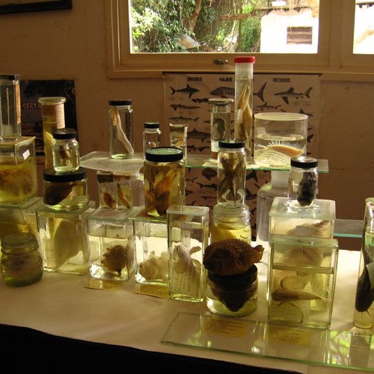 Estación de Biología Marina de Inhaca