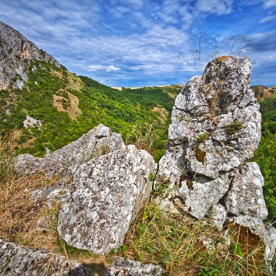 Punto di vista panoramico