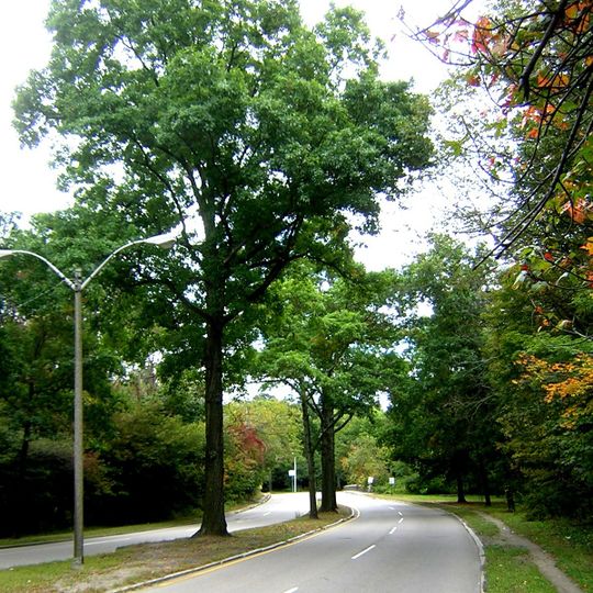 Neponset Valley Parkway