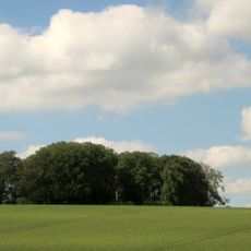 Bowl barrow on Barrow Hill, Hungerford Newtown