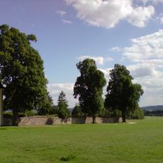 Karmelitánské lípy