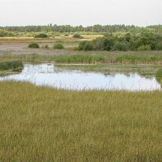 Träskmyr och Vasteån