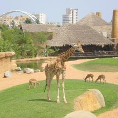 Valencia Bioparc