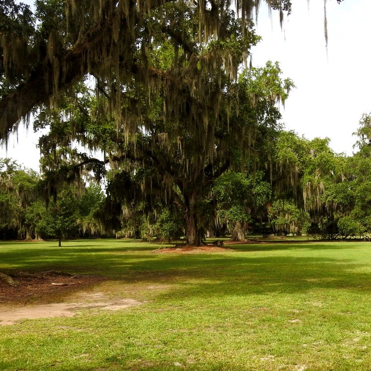Parque Estatal Fontainbleu