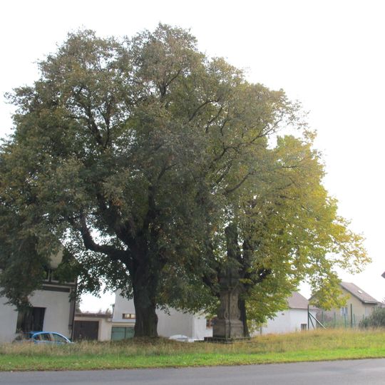 Lípy v Janově u Litvínova