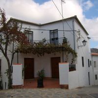 Parauta
