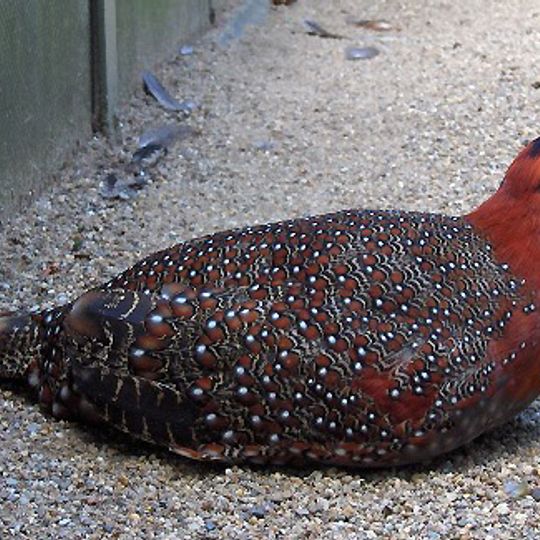 Parque nacional de Mouling