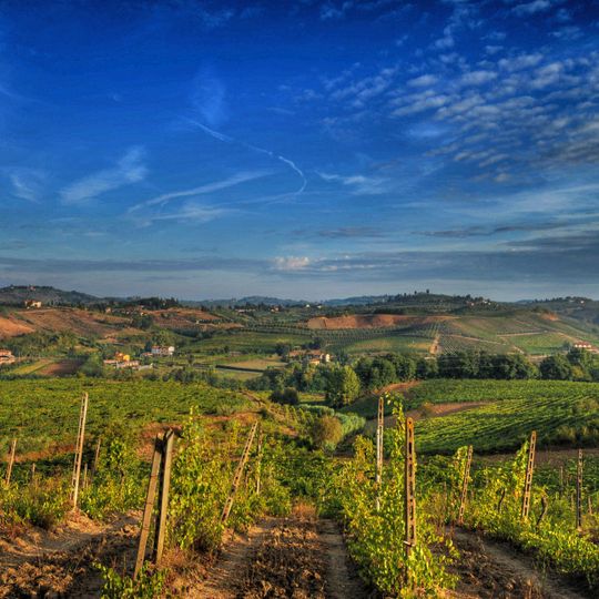 Chianti