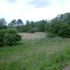 Bustedter Wiesen
