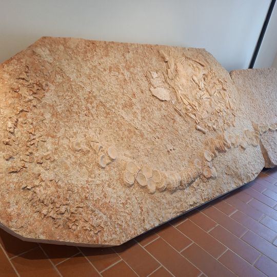 Museo paleontologico e preistorico di Sant'Anna d'Alfaedo