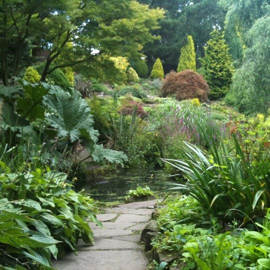 Fletcher Moss Botanical Garden