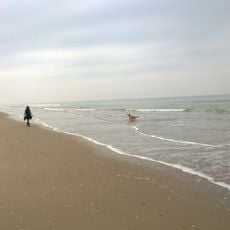 Plage du Touquet-Paris-Plage