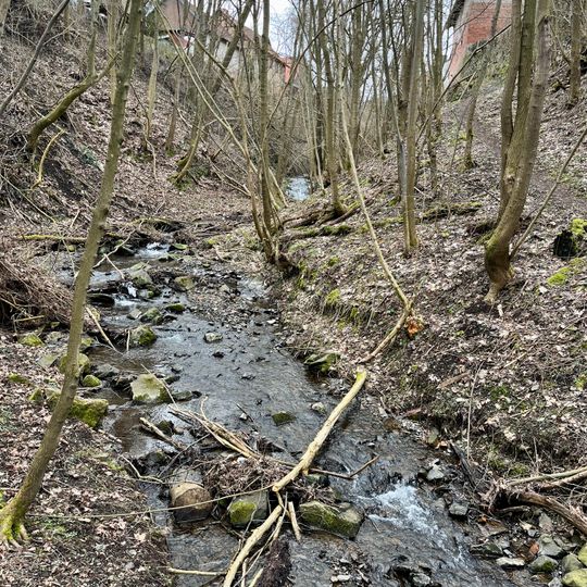 Sondertal und Talgraben bei Bad Wildungen