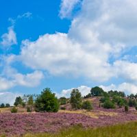 Landkreis Heidekreis