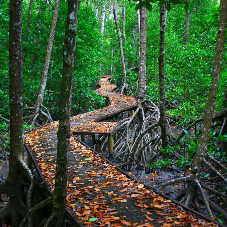 Great Barrier Reef Marine Park