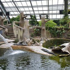 La planète des Crocodiles