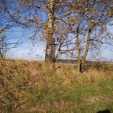 Kříž u břízy západně od Lidmaně