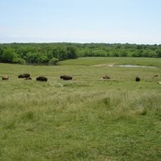 Wildlife Prairie Park