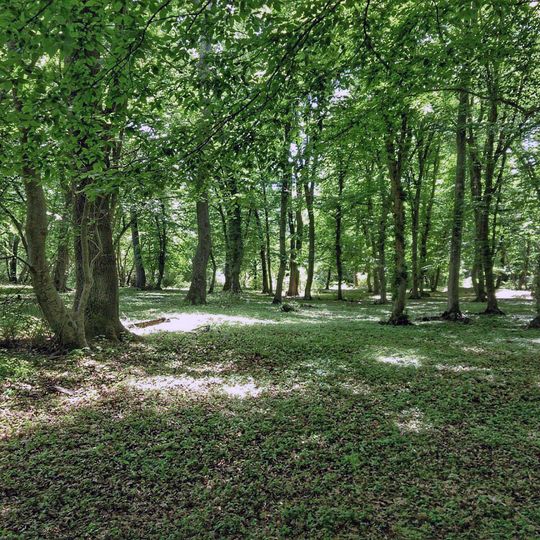 Samursky Nature Park