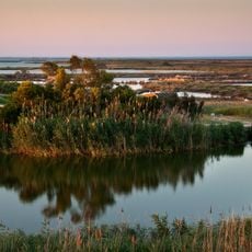 Ebro Delta Natural Park