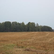 Martiniškėnai hillfort