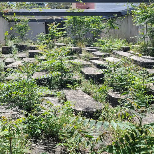 Estrela Jewish Cemetery