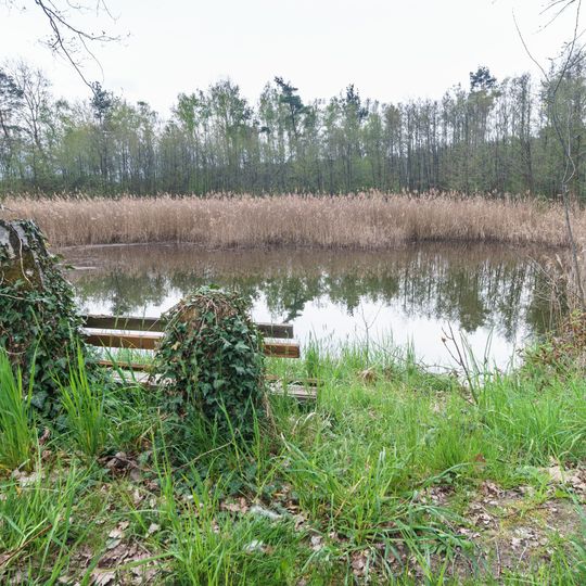 Pond Rothmann near Probsthain