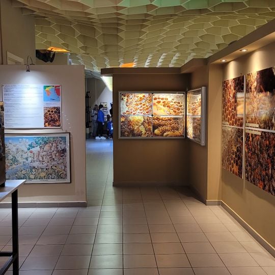 Bee museum of Rhodes