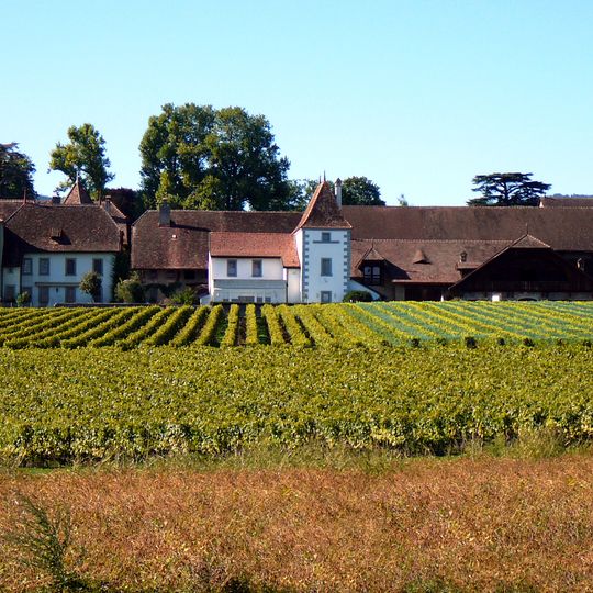 Château de Duillier