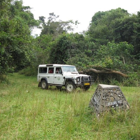 Parco nazionale di Rubondo Island