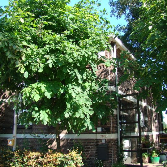 Westergasfabriek: ketelhuis