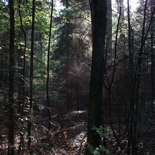 Nature reserve Łaznów