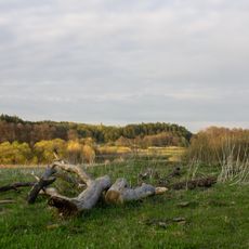 Hurby Protected Tract