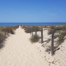 Arcachon Bay