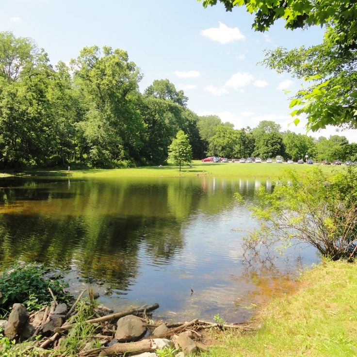 Preserve Sourland Mountain